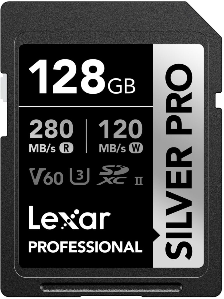 Dailygoods - Silver Pro SD-kaart 128 GB, UHS-II, V60, U3, C10, tot 280 MB/s