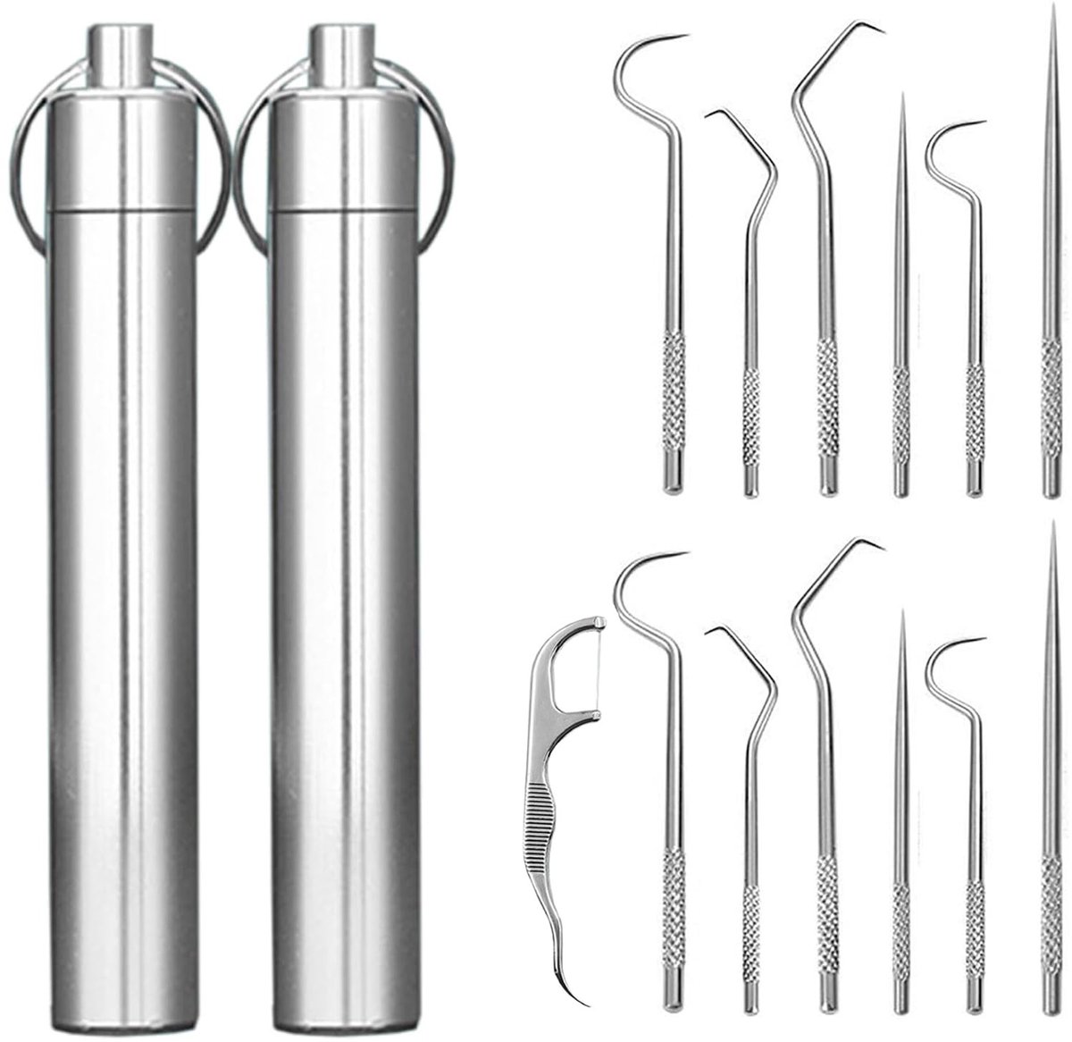 Dailygoods- Tandenstokers Set van 13 - Roestvrij Staal - Tandenstokerhouder - Tandenreinigingsset - Lange/Korte Tandenstokers - Ideaal voor Camping/Picknick - Tandenreinigers