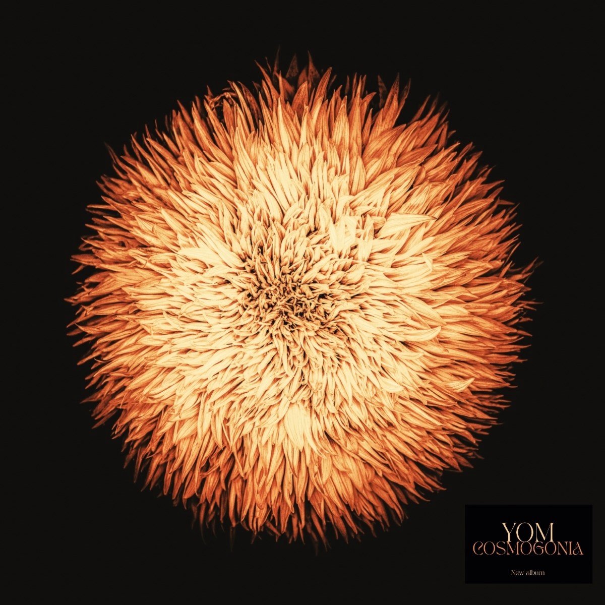 Yom - Cosmogonia (LP)