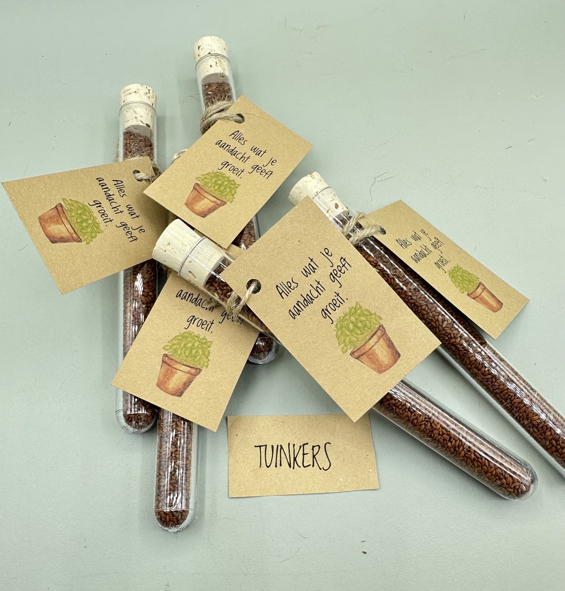 10 stuks, alles wat je aandacht geeft groeit, biologische tuinkers, kruiden, attentie, groen kadootje, eco kadootje, klein kadootje, tuin kadootje,