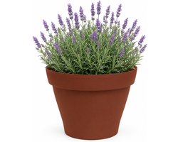 EDA Romeo Bloempot / plantenpot - kunststof - terracotta - D25 x H20 cm - binnen en buiten
