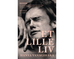 Et lille liv