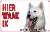Bord - Hond Zwitserse Witte Herdershond