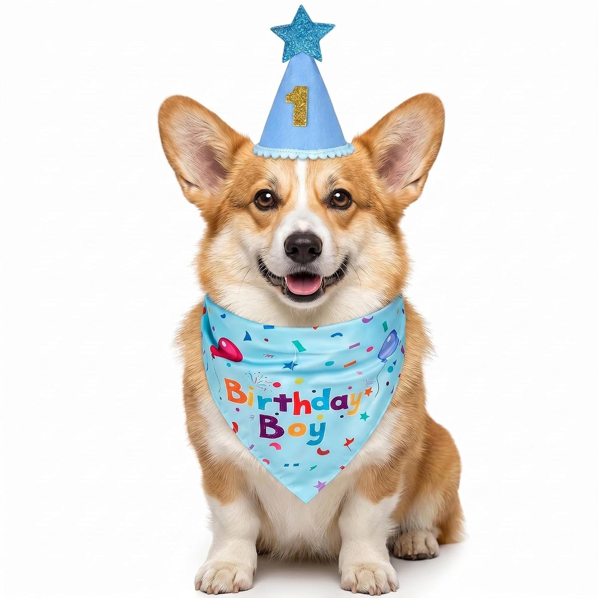Namajunas-Verjaardagsset voor Honden-met halsband en hoofddeksel-Bandana Hoed en Glitterrok
