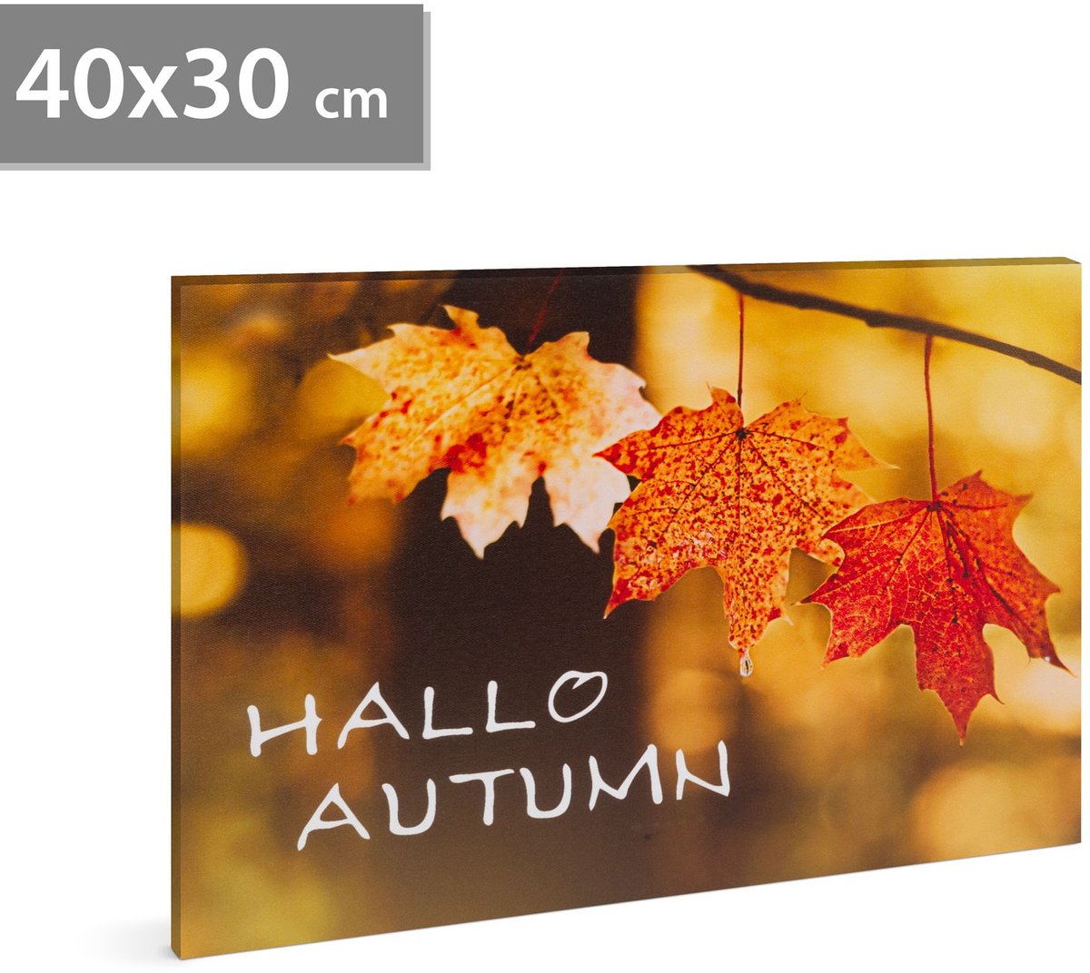 LED-afbeelding - "Hallo Herfst" - 2 x AA, 40 x 30 cm 1 Stuks [58502]