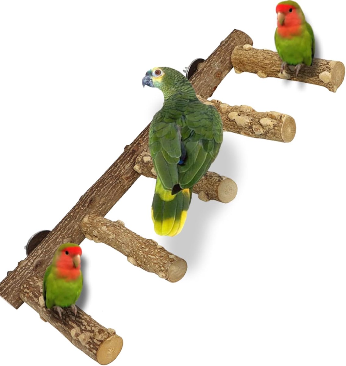 Vogelzitstok Ladder - Natuurlijke Houten Ladder - Veilig en Sterk - Versterkt het natuurlijke gedrag - ShopVlot