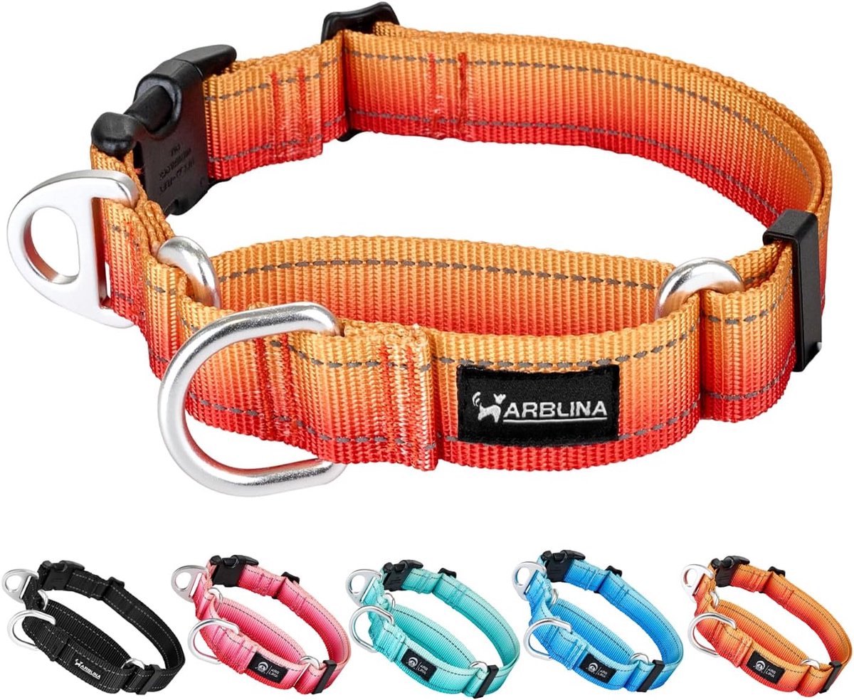 Hondhalsband Martingale L - Reflecterend - Anti-trek functie - Veilig en comfortabel - ShopVlot