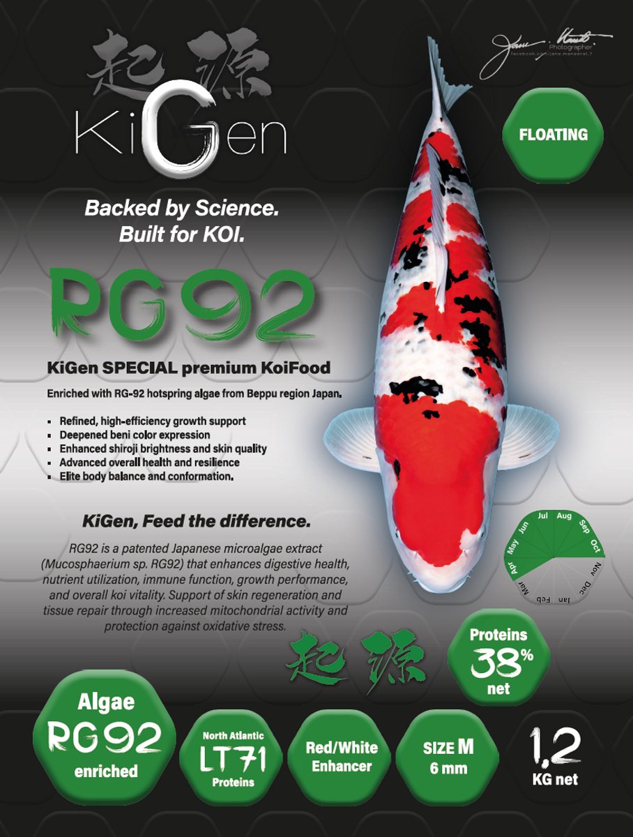 KiGen Koivoer RG92 6mm 1,2kg