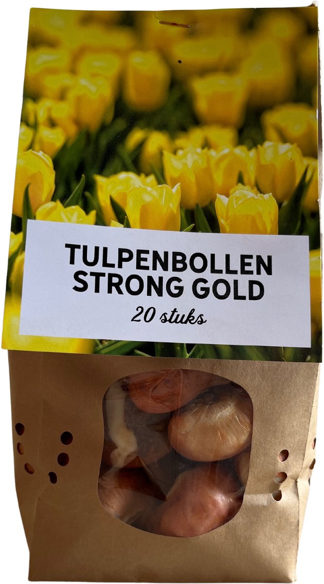 Tulpenbollen Strong Gold – 20 Stuks | KH Bloembollen® | Gele Tulp – Stralend & Krachtig – Voor Tuin of Pot – Maat 11/12 – Vers van de Teler