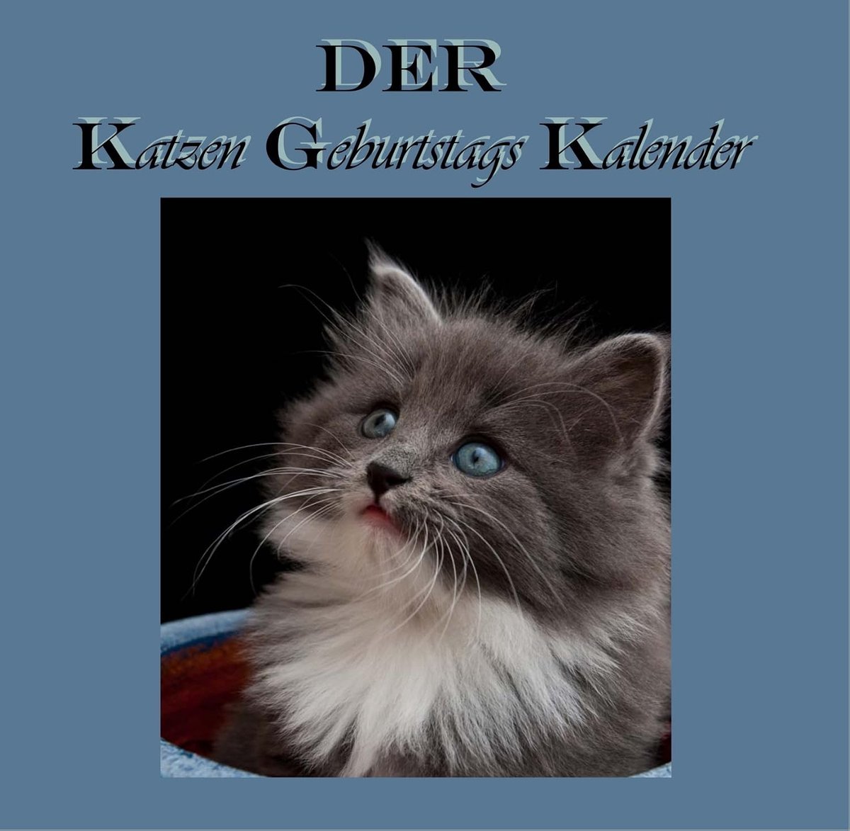 Katten verjaardagskalender - vierkant formaat - elke maand een kattenmotief - perfect voor kattenliefhebbers - SnelShoppen