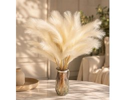 Pampasgras 30 stuks - Gedroogde droogbloemen - Boho decoratie voor bruiloft en thuis