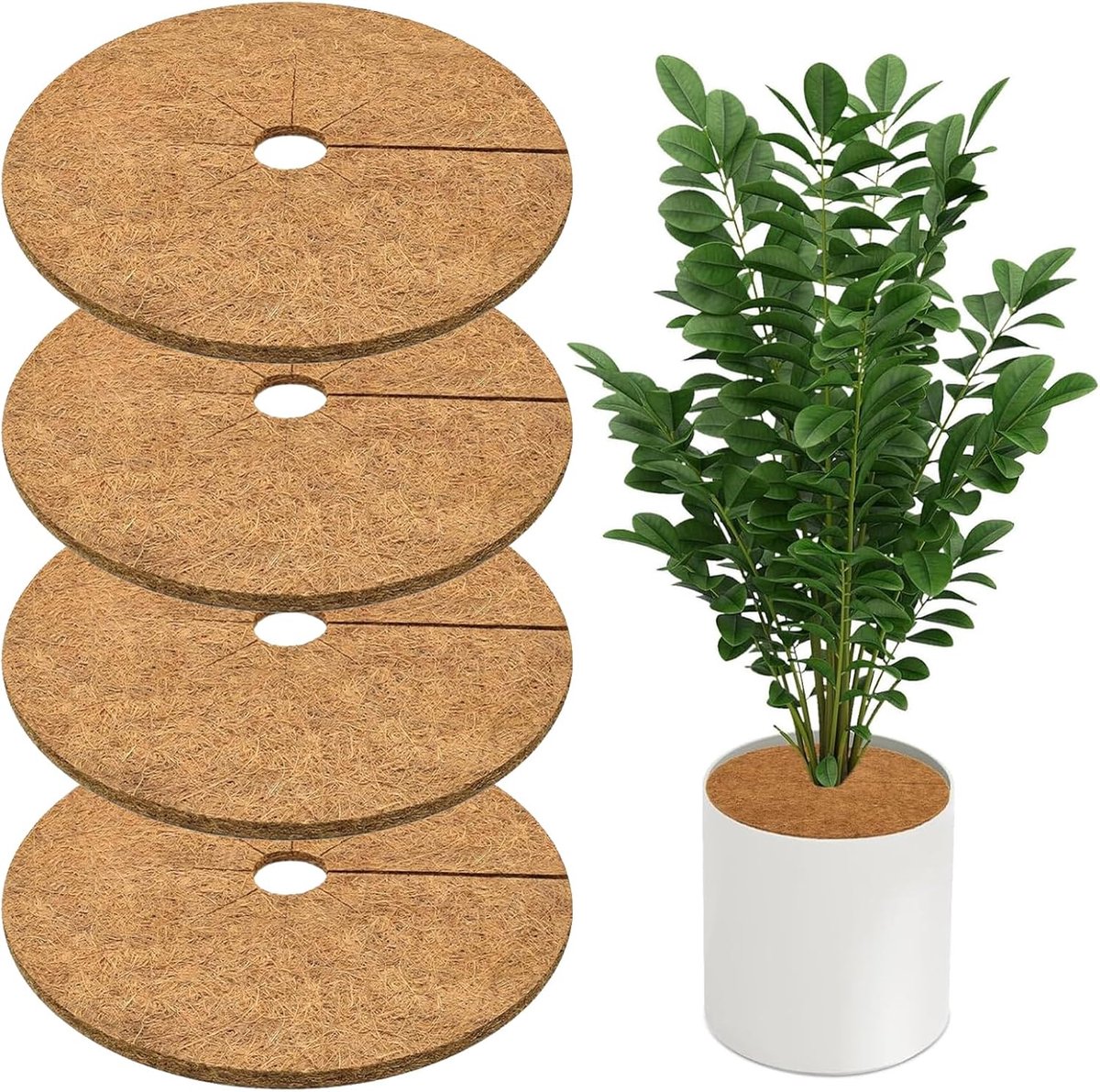 SnelShoppen - Set van 4 Kokosvezel Schijven voor Planten Winterbescherming - Natuurlijke Plantenmat - Frostbescherming voor Potplanten - 30 cm Diamete