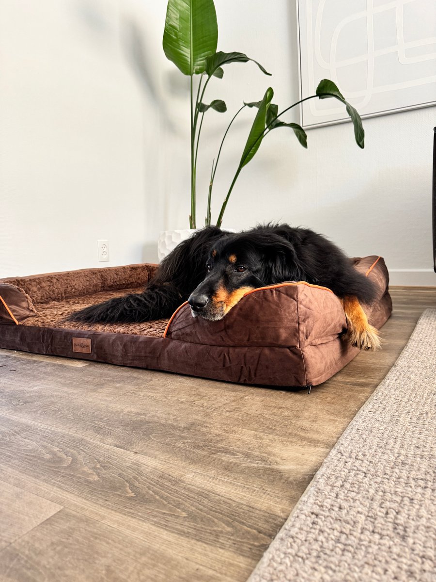 Max&Mand Orthopedische Hondenmand XL 134x106x22 cm - Memory Foam Hondenbed Grote Hond - Hondenkussen XL - Wasbare Afneembare Hoes - Antislip - Chocoladebruin