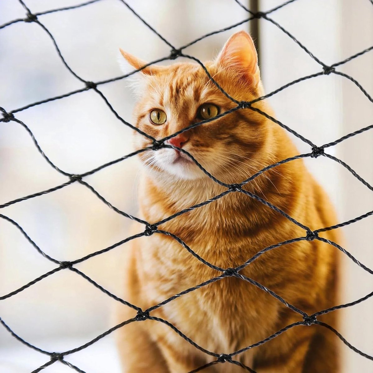 Kattennet voor balkon 8 x 3 m - draadversterkt - robuuste bescherming - veilig voor uw kat - SnelShoppen