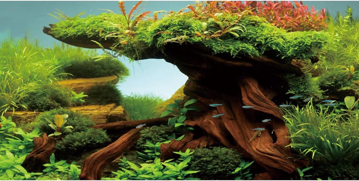 Aquarium achtergronddoek 120x50cm - Vinyl achtergrond zeewier en rivierbed - Duurzaam en herbruikbaar - SnelShoppen