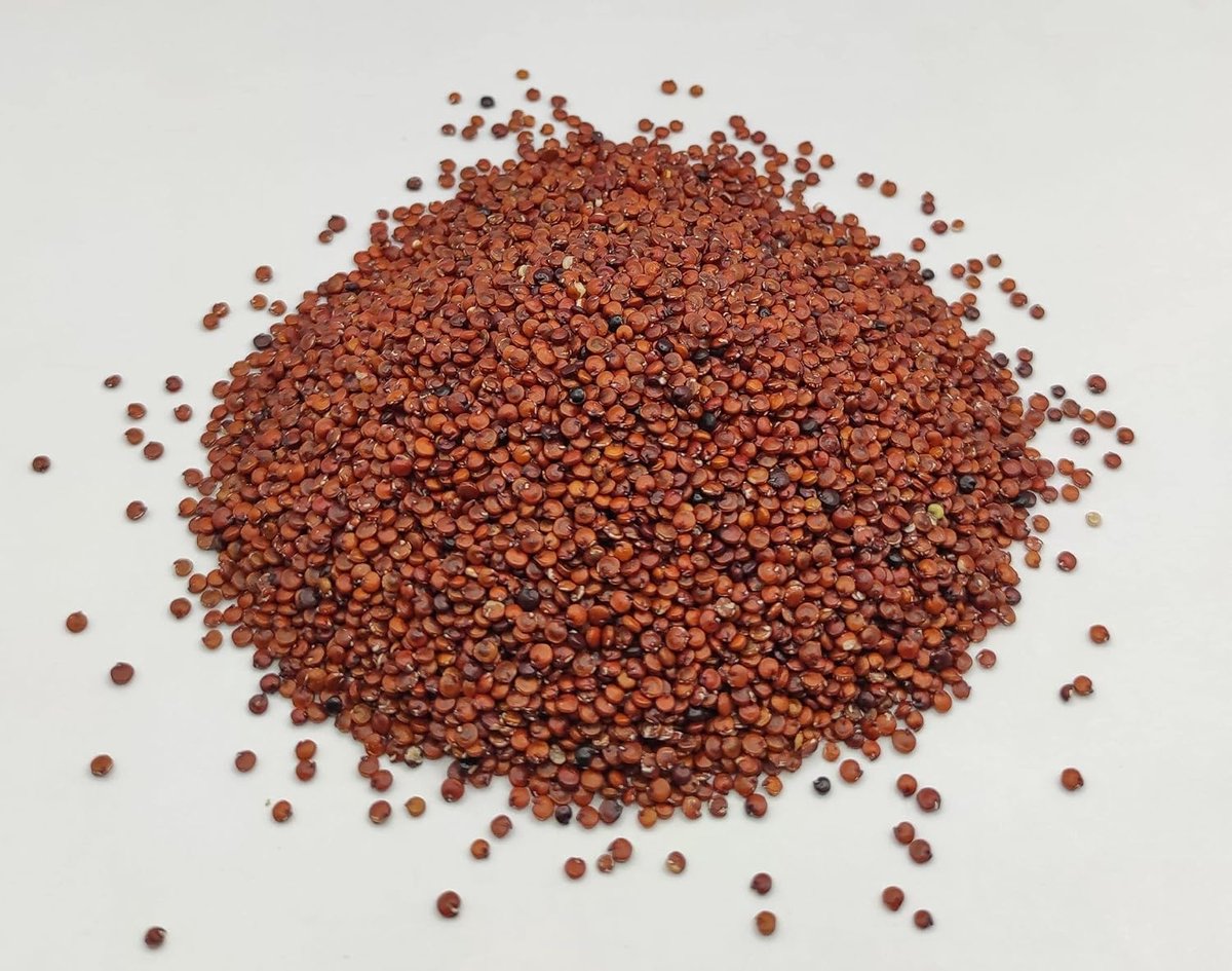 Quinoa Zaden 85g - 1,95kg Chenopodium quinoa (950 gram)