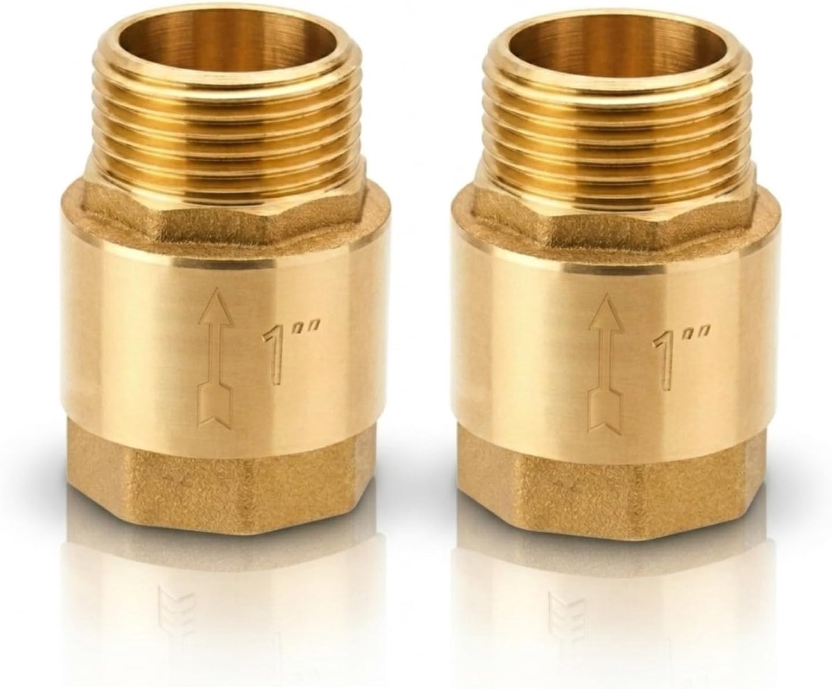 terugslagklep 1 inch,terugstroombeveiliger,1" retourklep,roestvrij