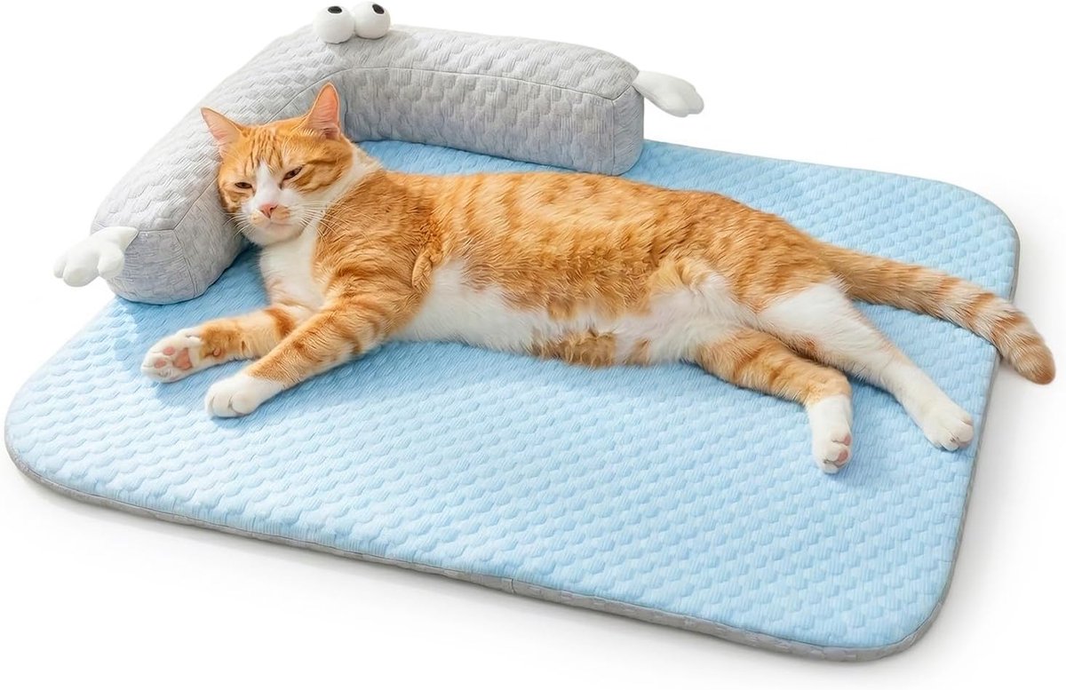 Koelmat voor honden en katten, kattenkoelbed, wasbaar met hoofdkussen, kattenbed voor katten, hondenmat, zomerkoelkussen, wasbaar hondenbed voor thuis, onderweg en auto (65 x 50 cm)