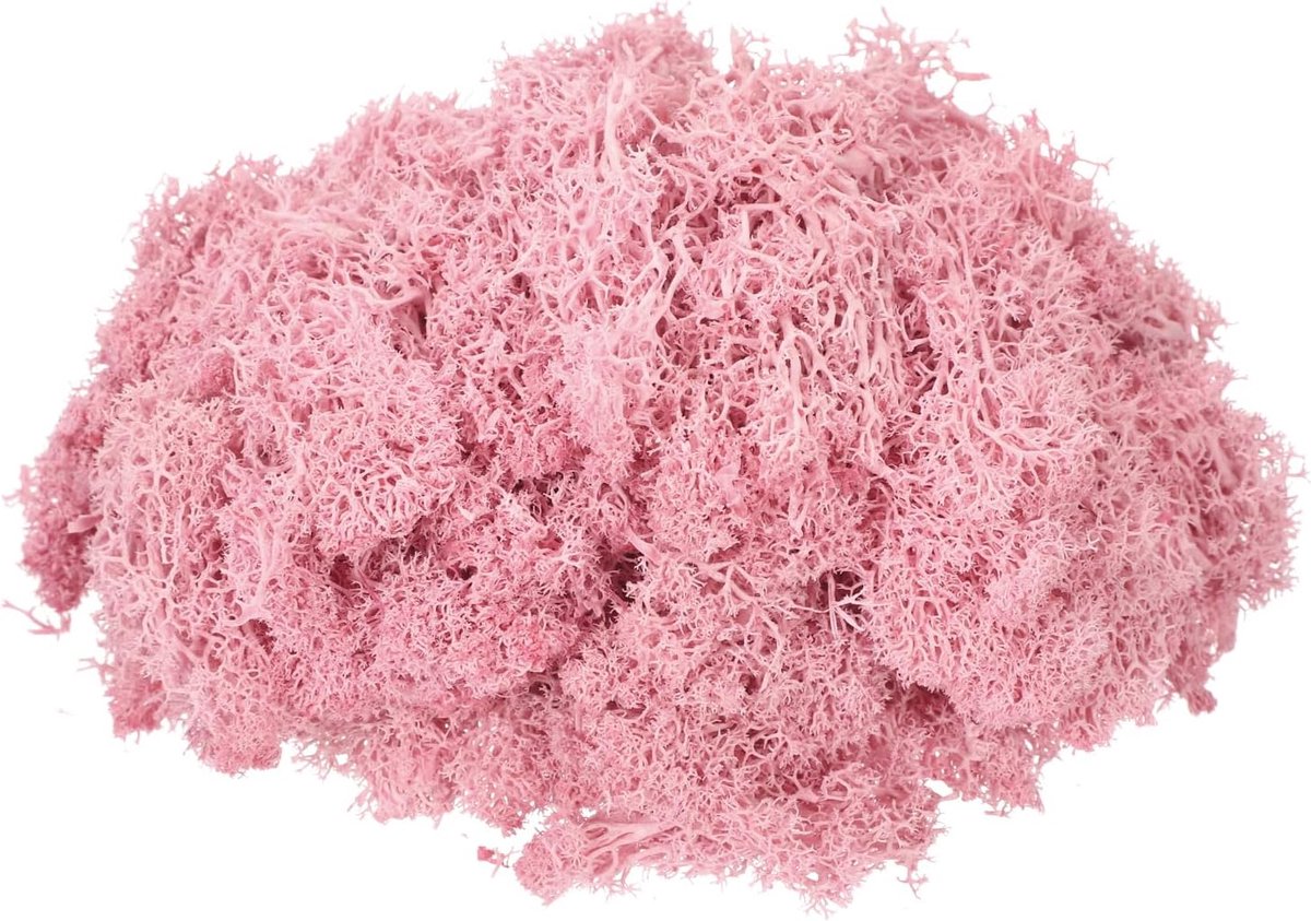 Geconserveerd rendier, mos, roze, decoratief kunstmos voor potplanten, indoor, knutselen, vlechten, tafeldecoratie, decoratie
