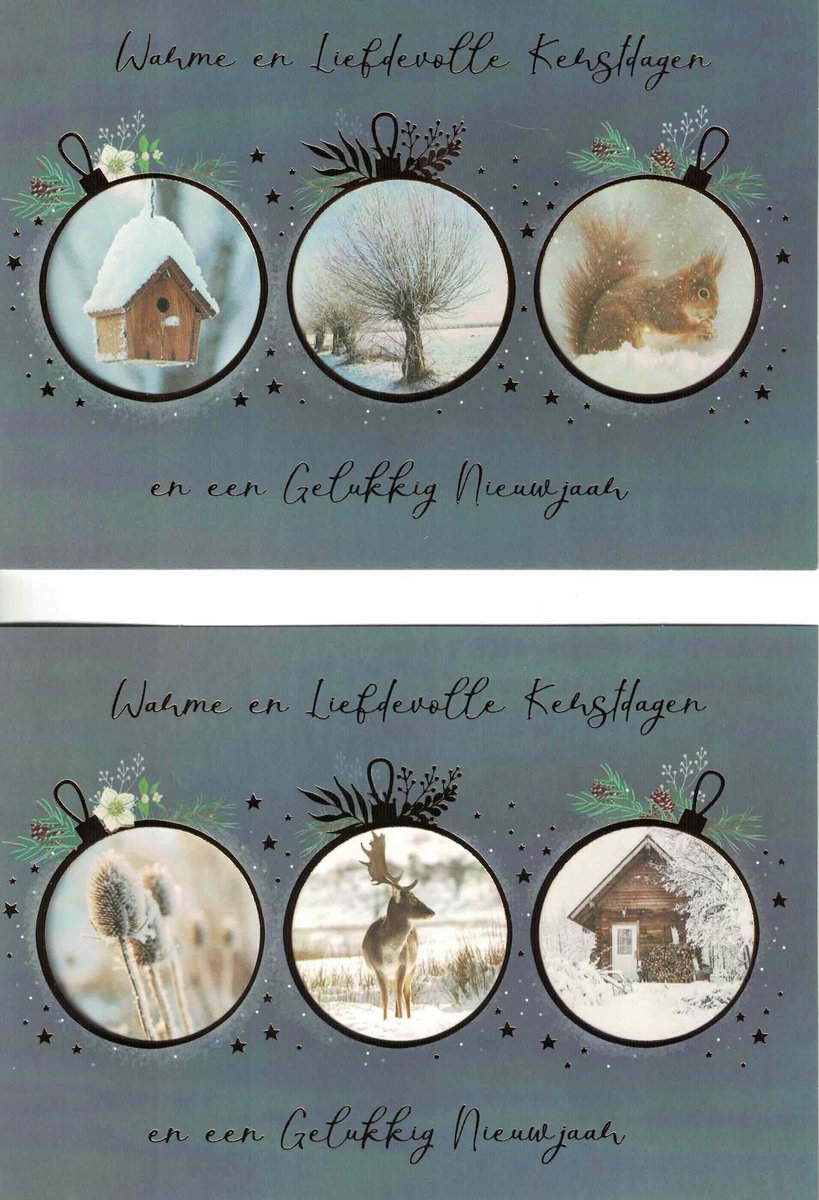 Wenskaarten - kerstkaart - set van 8 - 8 luxe kerstkaarten - 2 x 4 luxe kerstkaarten met envelop