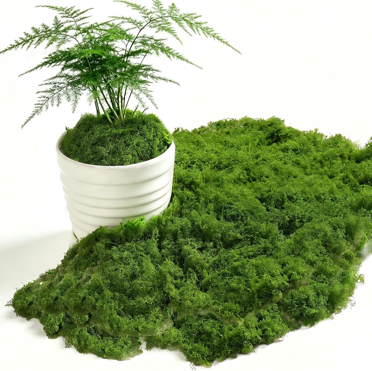 Moss Decoration 200 g - Donkergroen Kunstmos - Hoogwaardige Materialen - Ideaal voor Aquaria en Bruiloften - ShopVlot