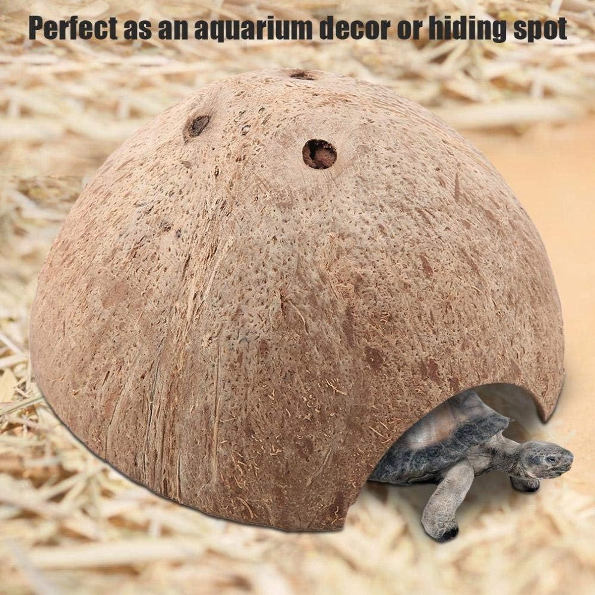 Schildpad, huisdieren, veilige kokosnootschalen, schildpad, verstoppen huisdieren, bescherming, aquariumdecoraties voor kleine hagedissen, spinnen vissen, reptielen amfibieën verbergen