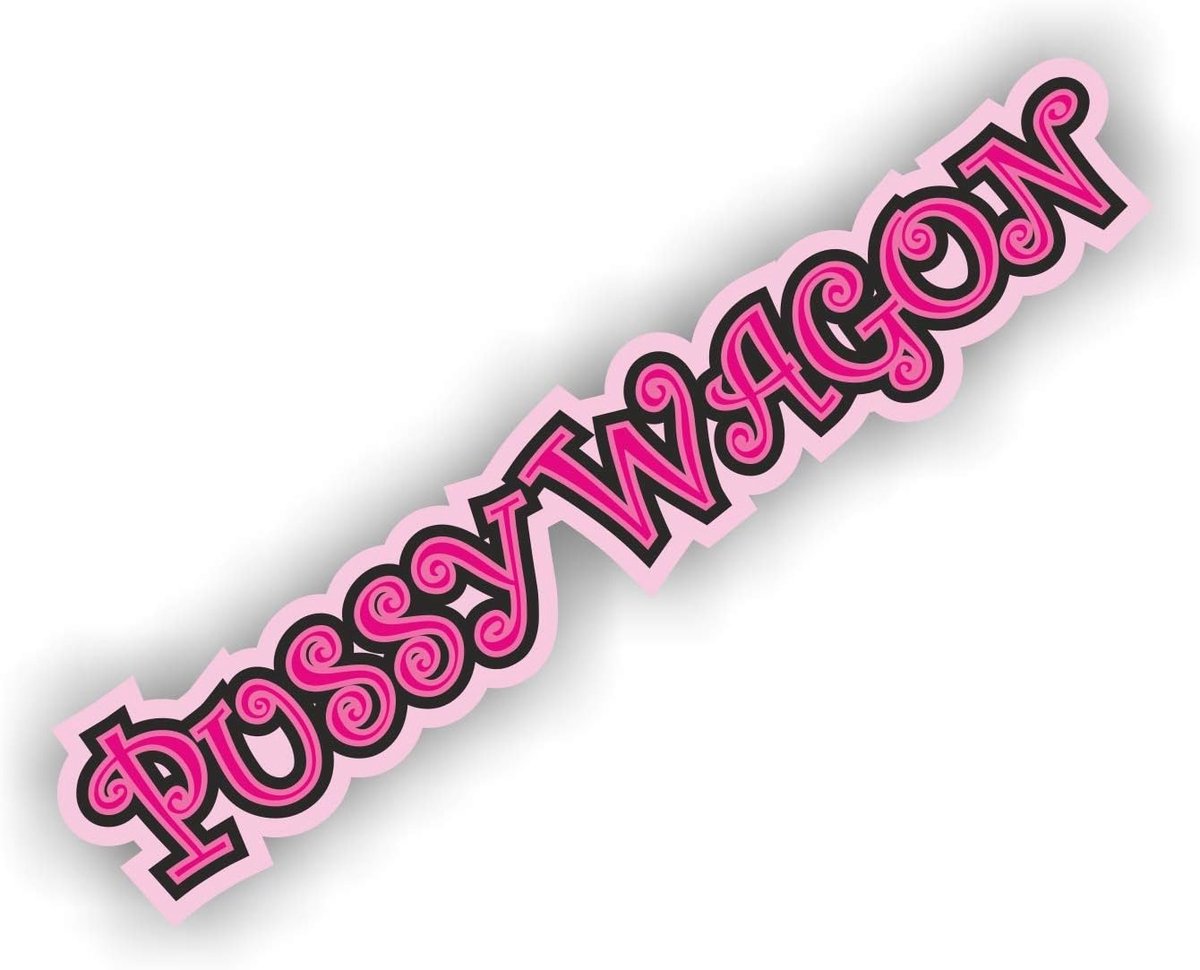 Auto sticker 17.5 x 3.5 cm - Hoge kwaliteit PVC - Grappige teksten voor tuning - Voor auto, motor en scooter - ShopVlot