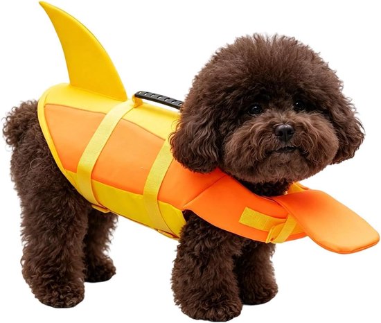 Un petit caniche marron portant un gilet de sauvetage jaune-orange avec une ailette de requin sur le dos, debout sur fond blanc.