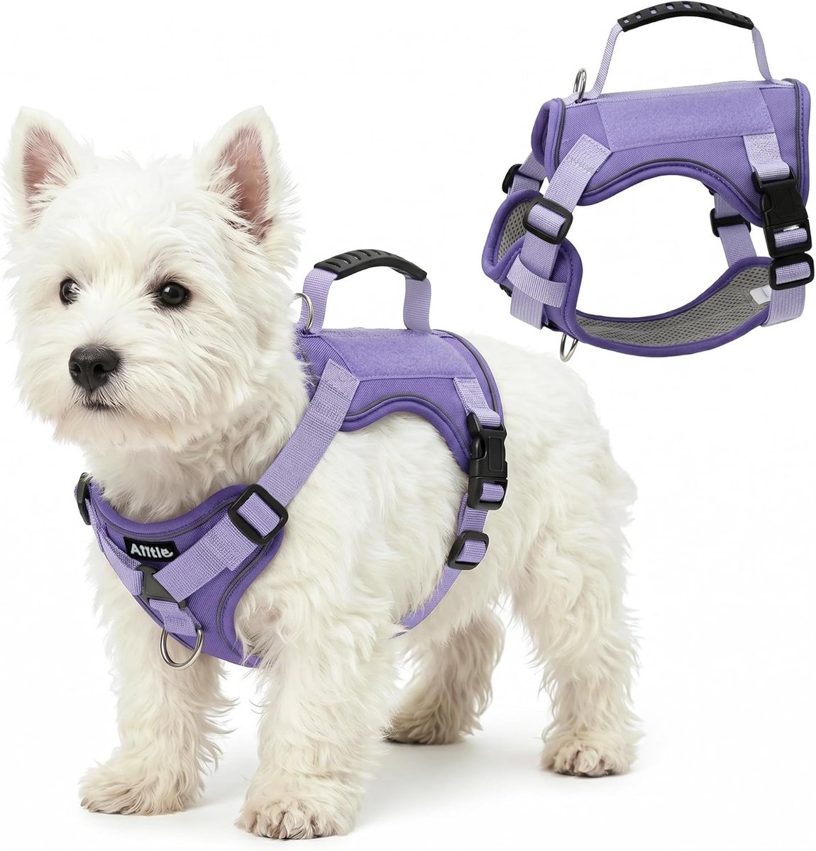 Hondentuigje XS - lavendel - reflecterend - geen trek voor kleine en middelgrote honden - ShopVlot