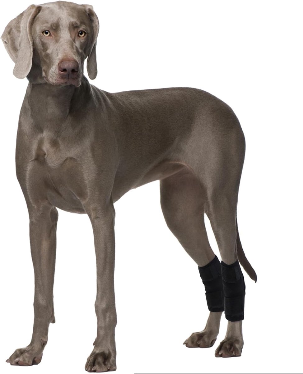 2 stuks hondenbeenbrace achterhock, verstelbare hond achter/voorbeen beschermer & ondersteuning wrap achterbeen brace anti-lik stabiliteit kniebeschermer lijdt vermoeidheid letsel stabiliseren