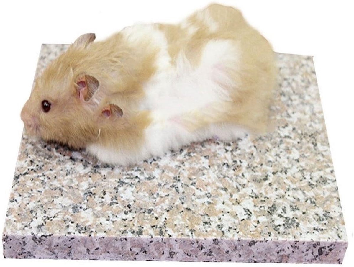 Emours Hamster Chiller Cool Graniet Steen Kleine Dierlijke Benodigdheden, 3.5 x 3.5 inch