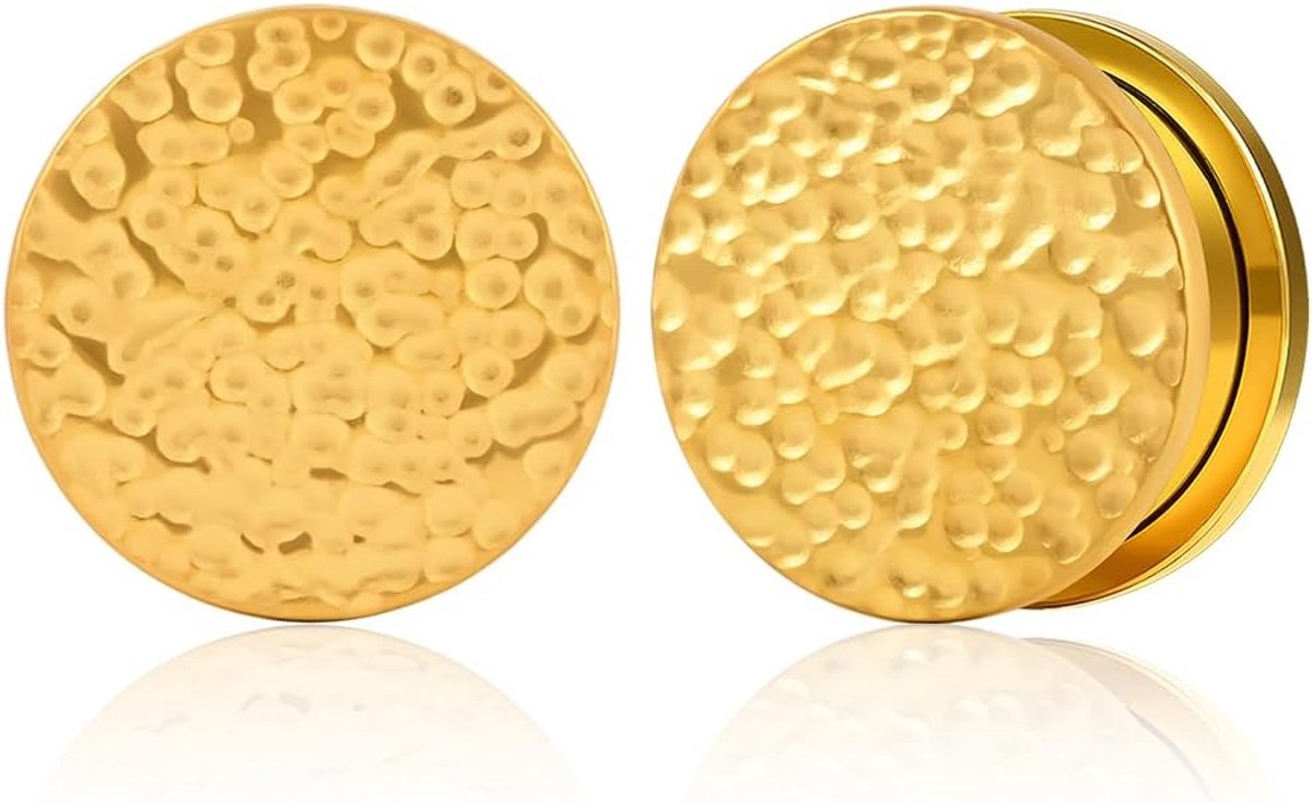 Oortunnel, 1 paar, enkele uitlopende plug, oortunnel, pailletten, van roestvrij staal, piercing, expander, sieraden voor vrouwen en mannen, 6 mm tot 16 mm