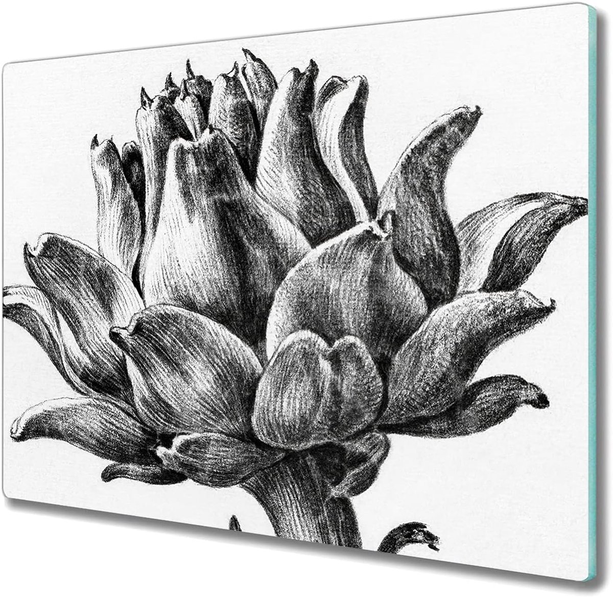 Glazen Snijplank 60x52cm Gehard Glas Kookplaatafdekking Fornuisafdekplaat Trancheerplank Keukenplank - Bloemen
