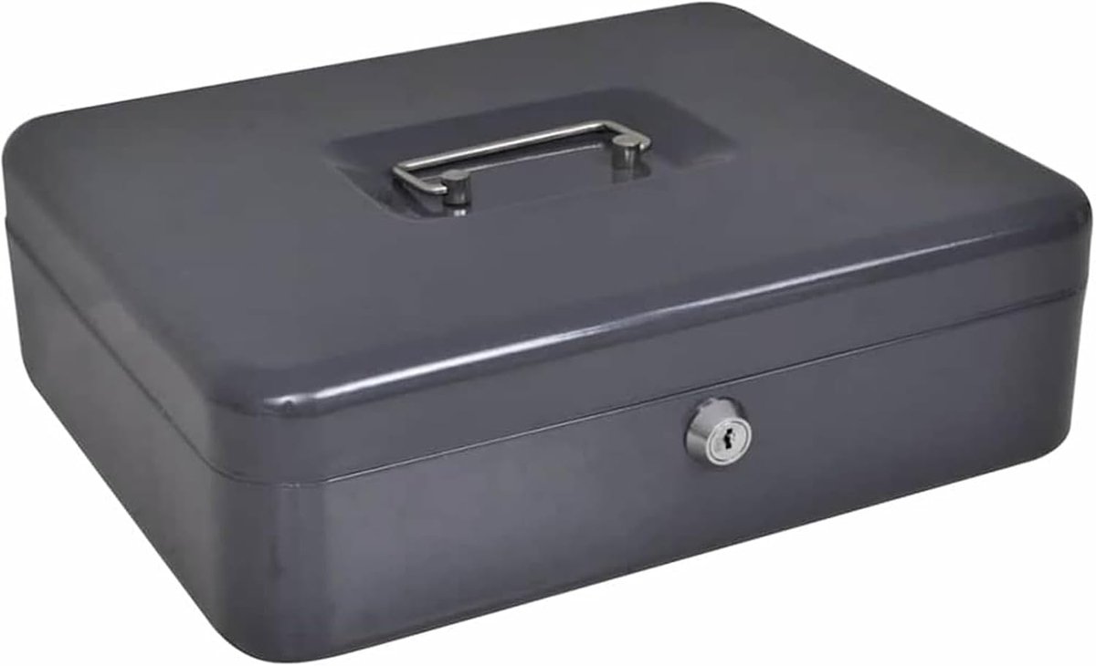 Veiligheidsbox, draagbare stalen box met nokkenslot voor persoonlijke voorwerpen, donkergrijs 42011322