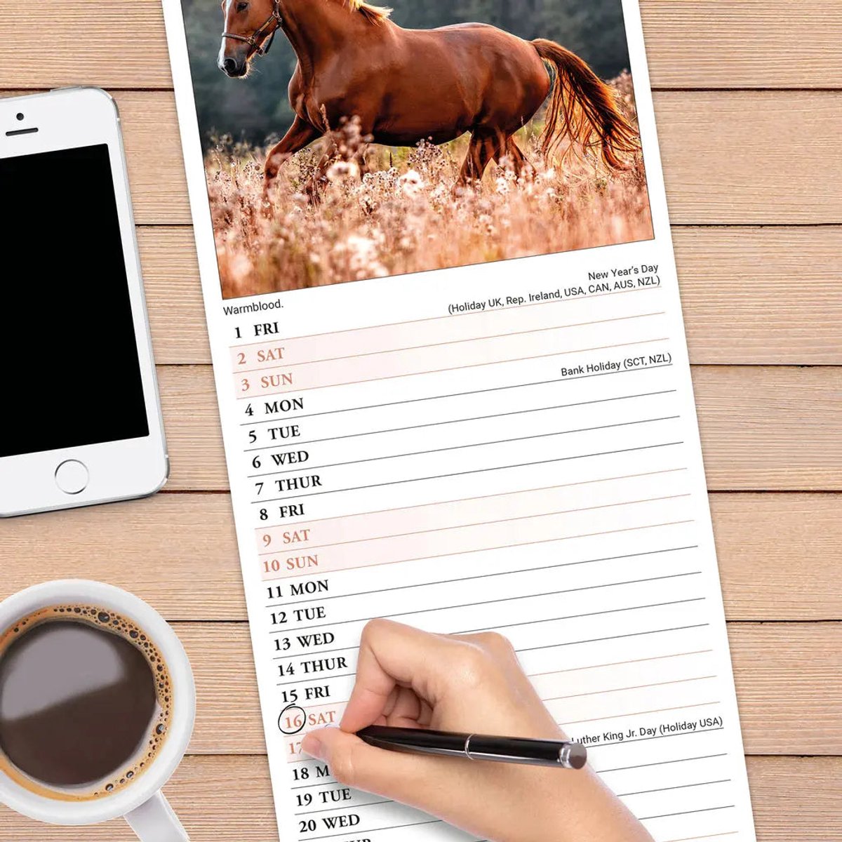 Paarden Kalender 2027 Slimline