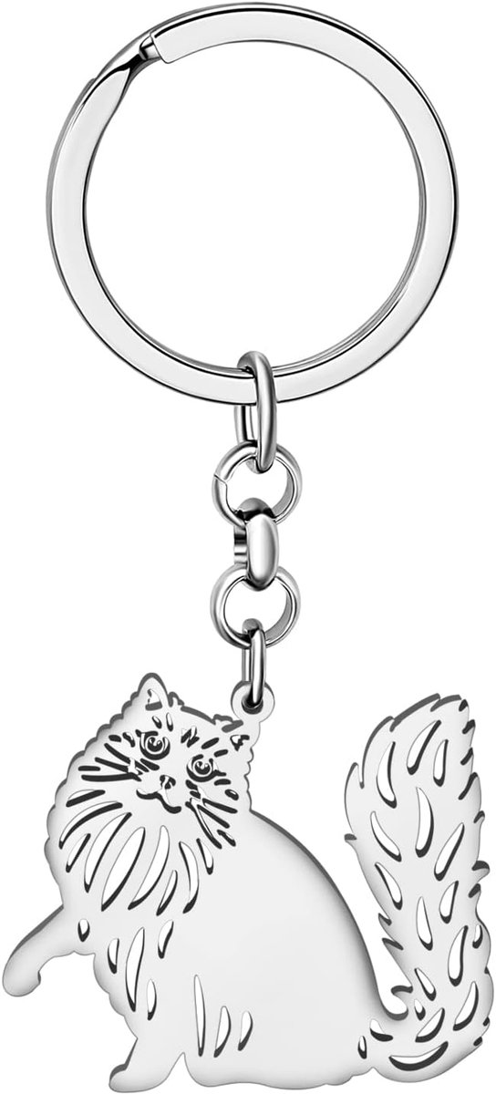 Rvs Kat Sleutelhanger Geschenken Voor Vrouwen Meisjes Kat Sleutelhangers Portemonnee Autosleutels Charms