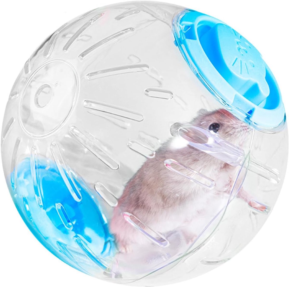 Loopbal voor hamsters, 18 cm, transparant, wiel voor hamsters, fitness, hamsters, kunststof, loopfiets voor hamsterdieren