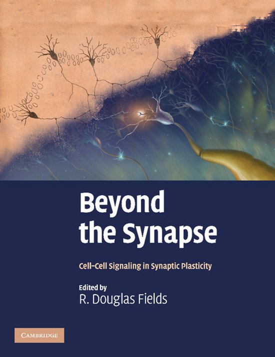 Beyond the Synapse - cover