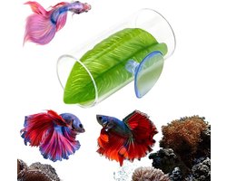 Rustblad voor Betta-vissen - Transparante Betta Vis Tunnel - met Groen Blad - Premium Acryl Schuilplaats Grot voor Aquarium - met Zuignapbevestiging - Compact Rustplatform Visstunnel - Diameter 7.6cm - Stressverminderend Sorteersysteem - Helder