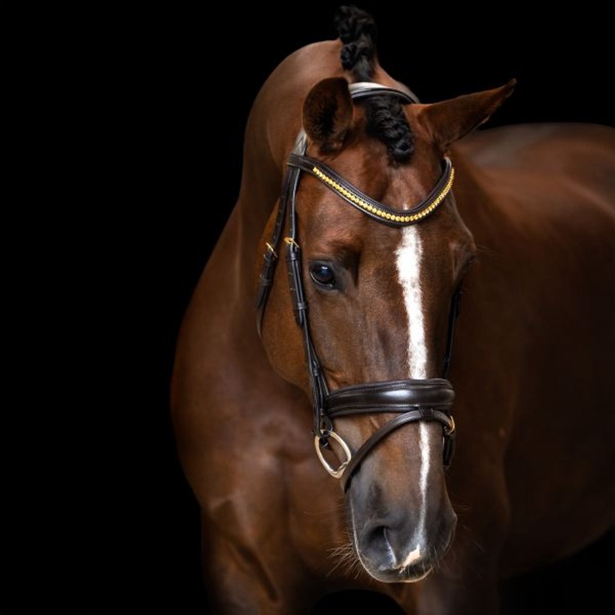 Imperial Riding Hoofdstel IRH eenvoudige gecombineerde neusriem - Bruin - Full/S
