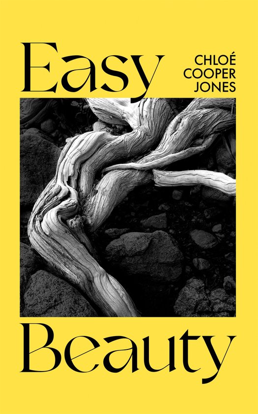 Easy Beauty - cover