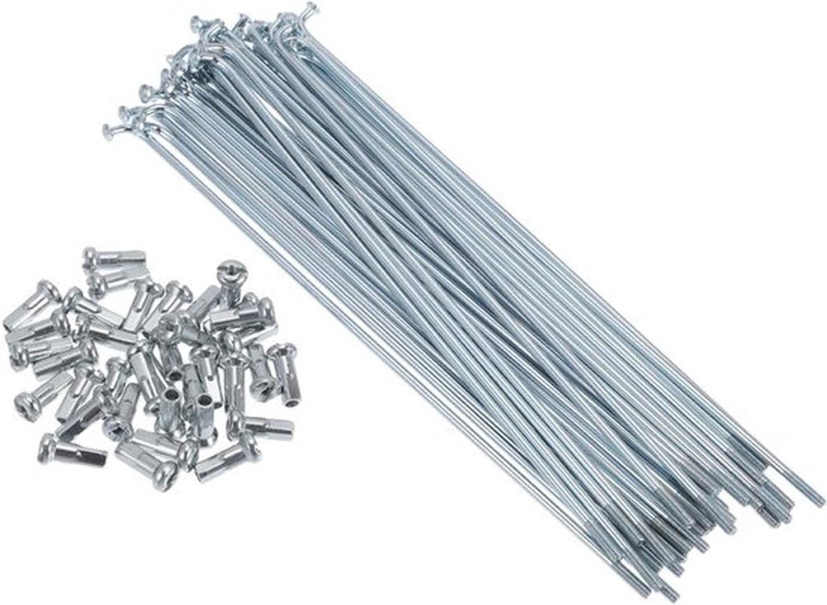 Fiets Spaken Set van 13G 155mm Lengte - 45 Stalen Gegalvaniseerde Spaken voor Wielrenners en Fietsreparatie