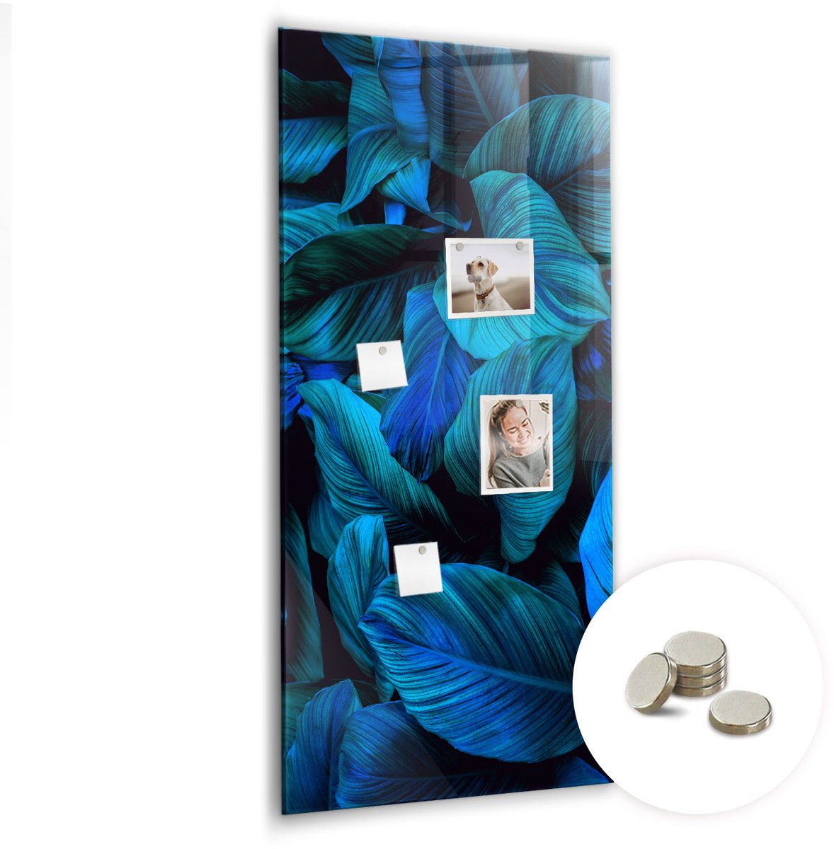 Coloray Glazen Magneetbord - Magnetisch Bord Chocolademelk - 60x120 cm - Blauw Magneetbord - Magnetic Board - Bureau Decoratie