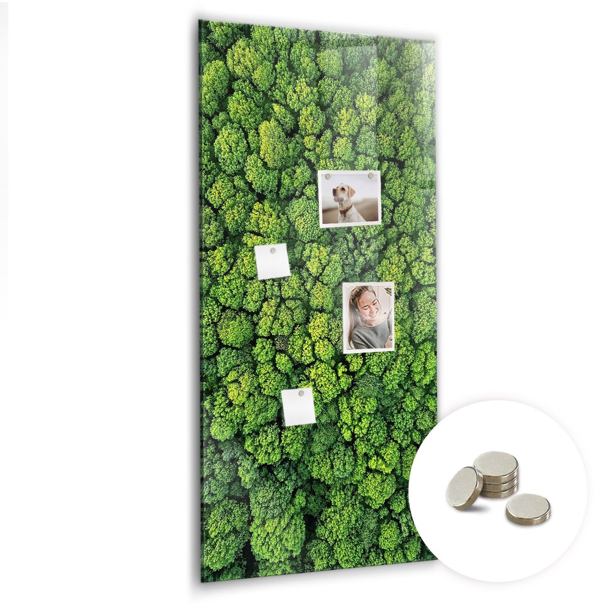 Coloray Glazen Magneetbord - Magnetisch Bord Melkwegstelsel - 60x120 cm - Groente Magneetbord - Magnetic Board - Memobord