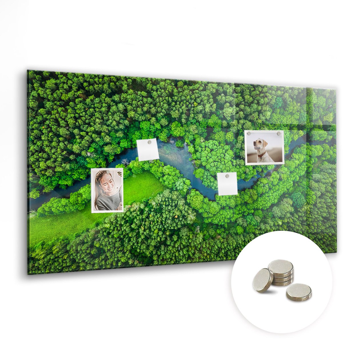 Coloray Glazen Magneetbord - Magnetisch Bord Merenlandschap - 120x60 cm - Groente Magneetbord - Magnetic Board - Woonkamer Decoratie