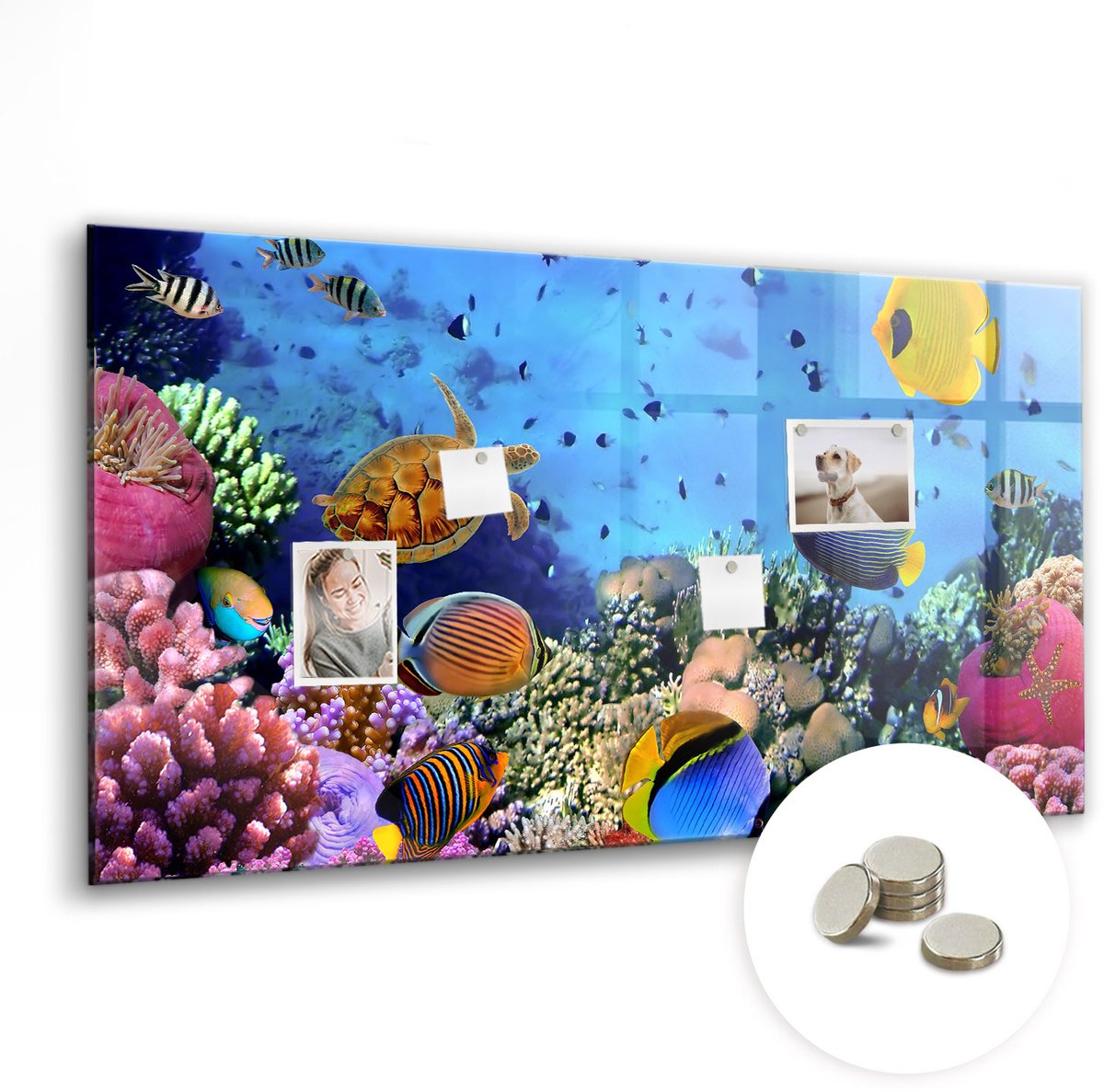 Coloray Glazen Magneetbord - Magnetisch Bord Bamboe stokken - 120x60 cm - Veelkleurig Magneetbord - Magnetic Board - Bureau Decoratie