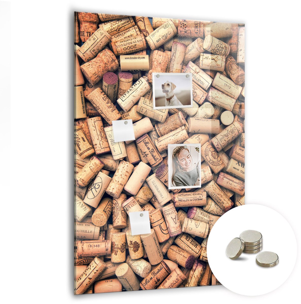 Coloray Glazen Magneetbord - Magnetisch Bord Monstera plantbladeren - 70x100 cm - Beige Magneetbord - Magnetic Board - Memobord