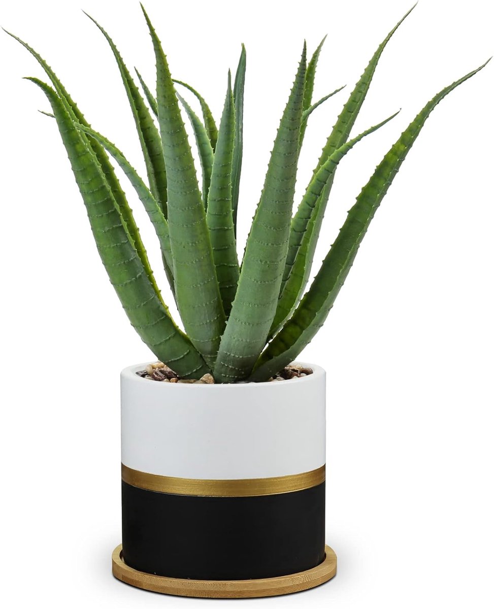 SnelShoppen - Kunstplant Aloe Vera in Keramieken Pot - Nepsucculent Voor Woonkamer, Balkon, Slaapkamer, Badkamer, Tafel Decoratie - Zwart - Realistisc