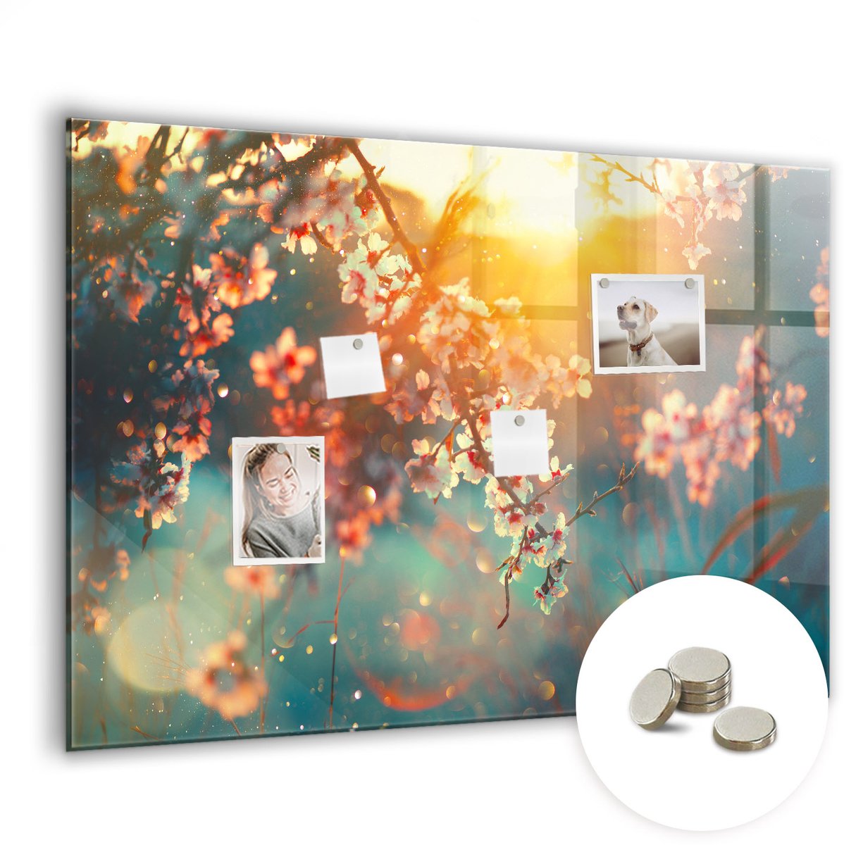 Coloray Glazen Magneetbord - Magnetisch Bord Grill - 100x70 cm - Veelkleurig Magneetbord - Magnetic Board - Magnetisch Wandbord