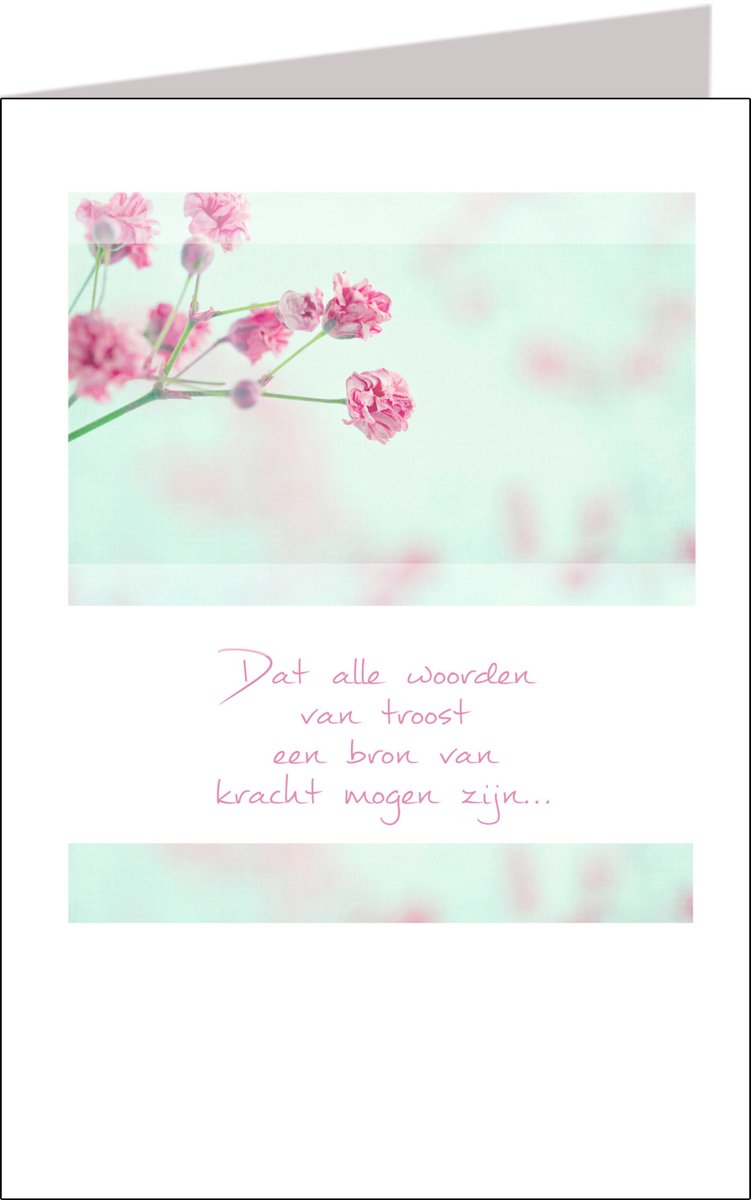 Butterflies | 11x17 | 6 stuks | Vak 116